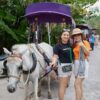 Tour Lan Vương - Cồn Phụng - Cồn Thới Sơn