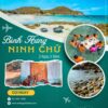 Tour Khách Đoàn: Bình Hưng - Ninh Chữ 2 Ngày 2 Đêm