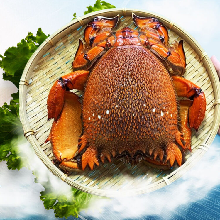 Cua huỳnh đế – đặc sản Phú Quý thịt chắc, ngọt, béo