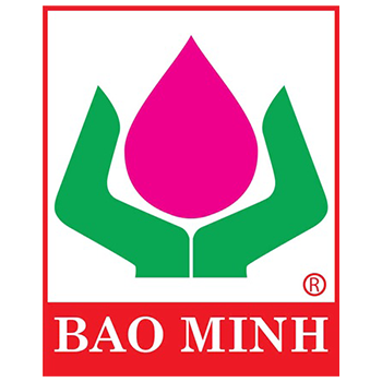 Bao Hiem Bao Minh